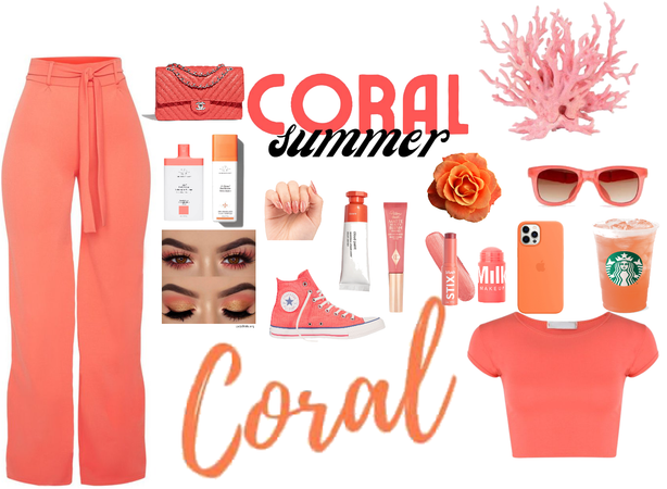 coral 🪸