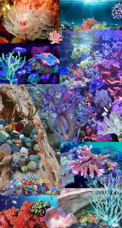 coral reef collage