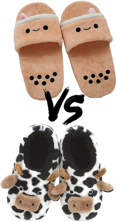 which slippers