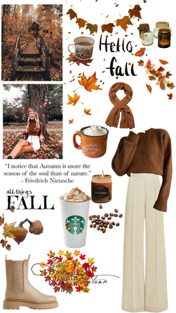 Fall 🍂🍁🤎