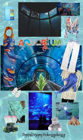 Steady Aquarium Date