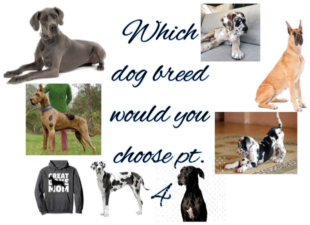 Which dog breed would you choose pt. 4