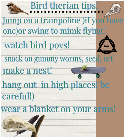 Bird therian tips 🐦‍⬛🦆🪿