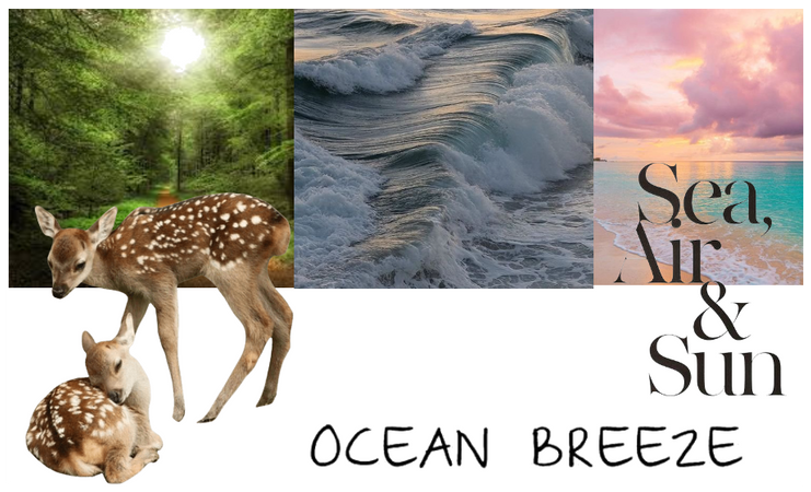 forest,ocean,and fun