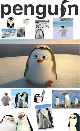 penguin 🐧
