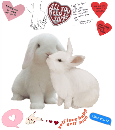 Love bunnies