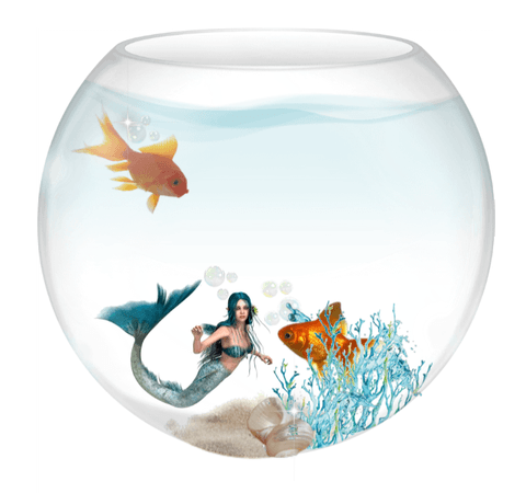 Trapped And Shrunken In the fish bowl