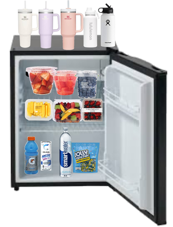 my mini fridge