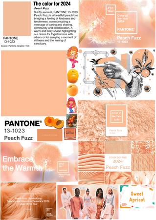 Pantone 2024 Color of the Year: Peach Fuzz
