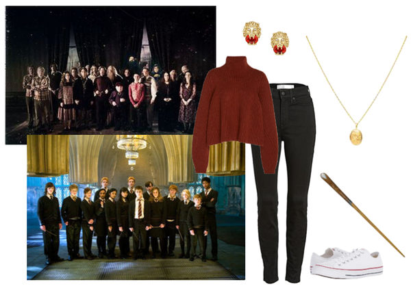 Dumbledore's Army and The Order of the Phoenix