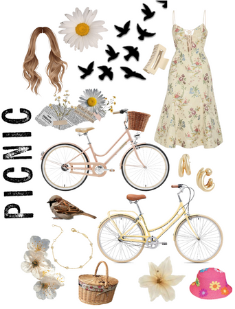 picnic 🧺 bike ride !