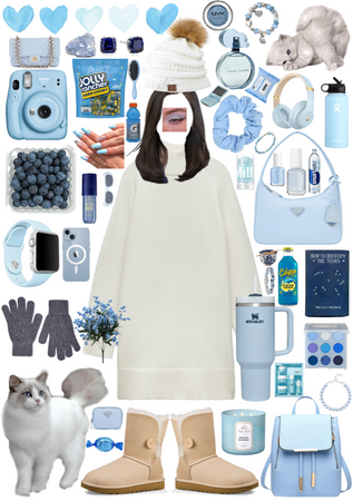 Purrfect Copy: Ragdoll Cat Matching Outfit