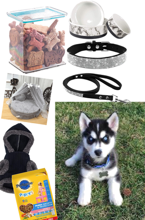 stuff for dogs