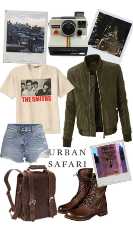 go on an urban safari