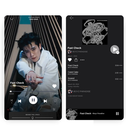 𝗕𝗢𝗬𝗭 𝗣𝗔𝗥𝗔𝗗𝗜𝗦𝗘  - Spotify
