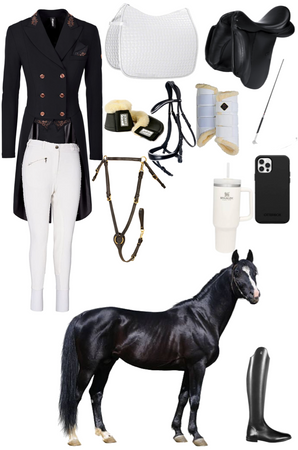 dressage outfit