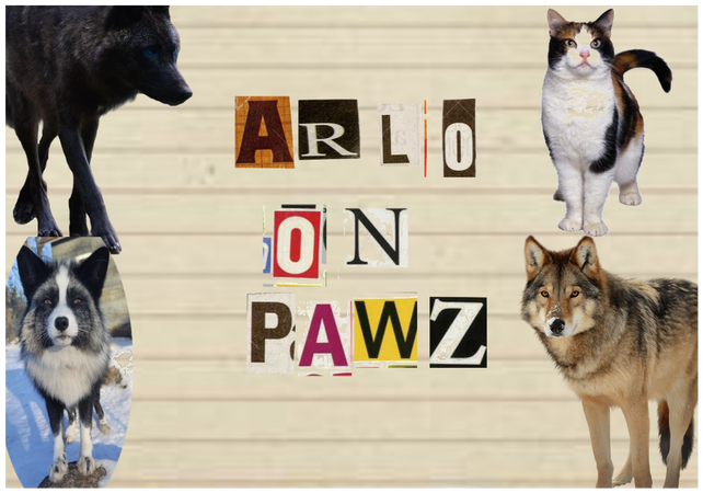 For Arlo on Paw