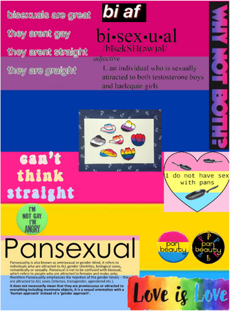 BISEXUAL AND PANSEXUAL