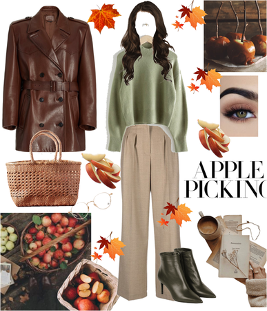 Apple Picking in Autumn