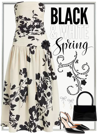 Black & White Spring