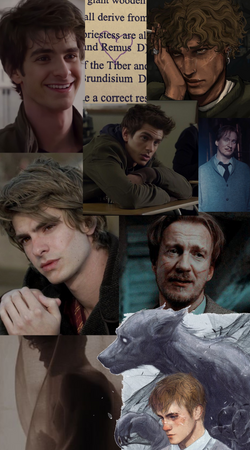 The Tragedy of Remus Lupin