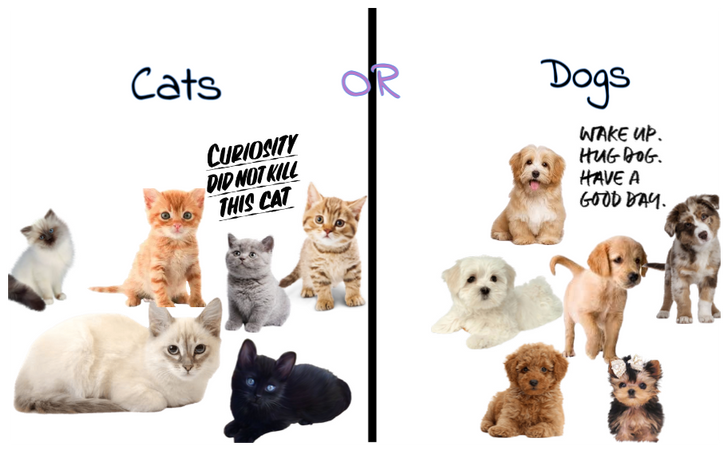 Cats OR Dogs??