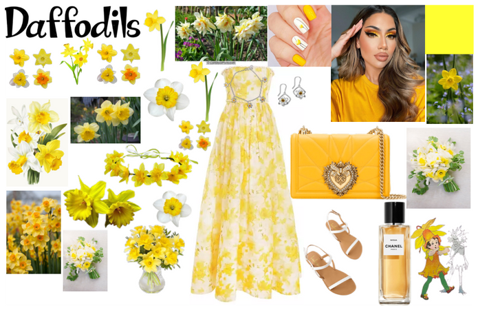 Daffodils*＊✿❀  ❀✿＊*