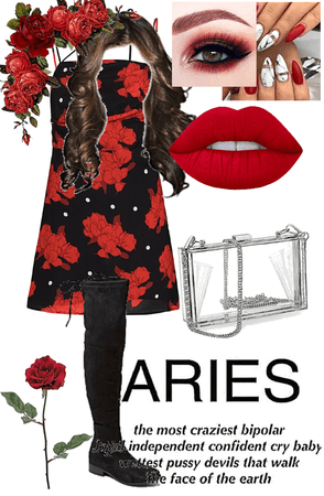 Aries Party