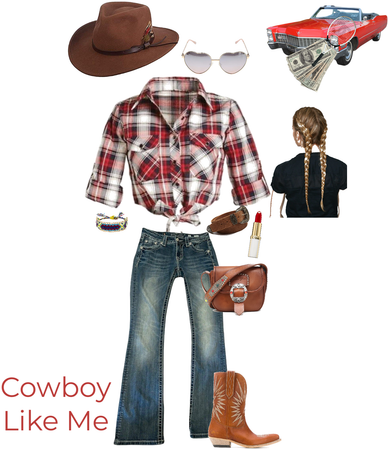 Taylor swift series: cowboy like me