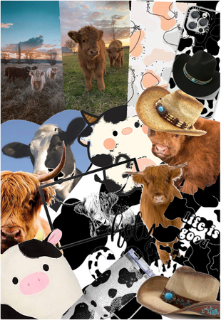 cows 🐄
