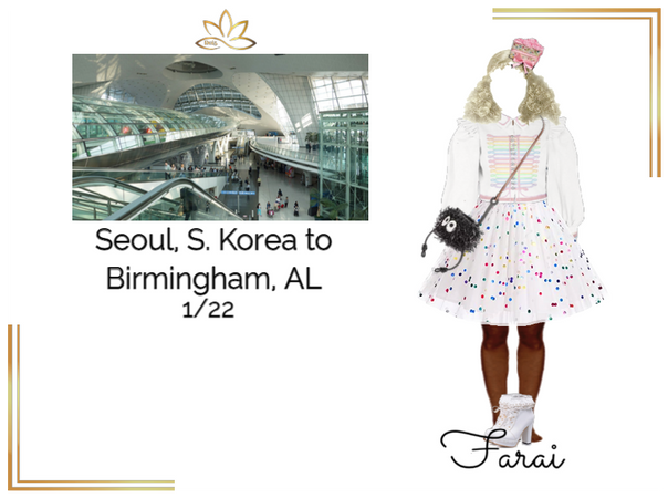 Dei5 Seoul to Birmingham Airport | Farai 1/22