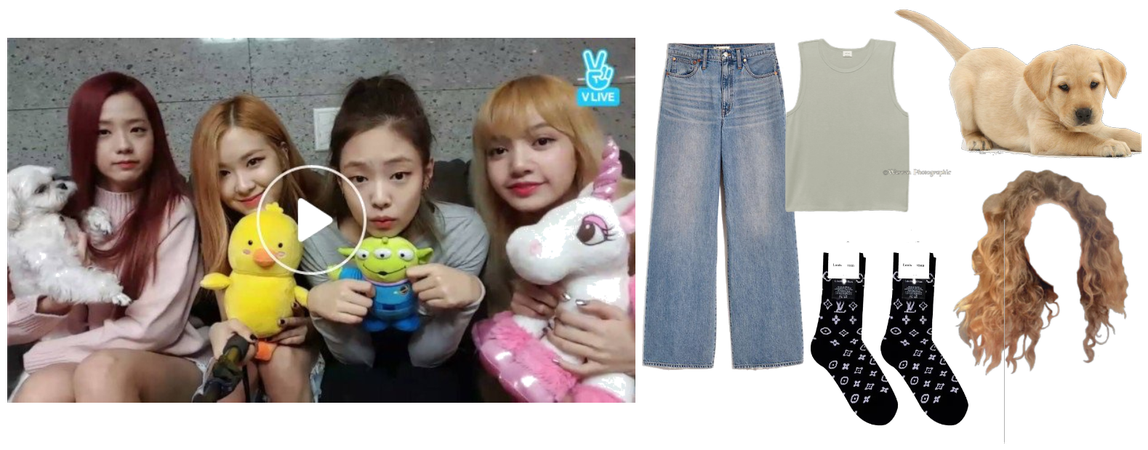 blackpink 5th member vlive outfit with her dog