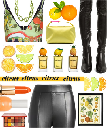 citrus circus