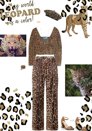 leopard is a color