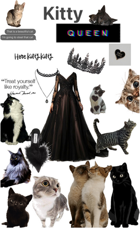 queen of kitties. 👑