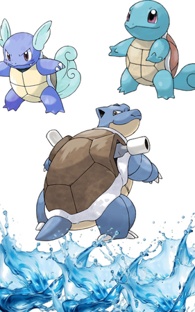 Squirtle evolution