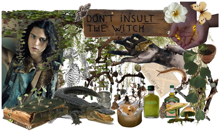 swamp witch aesthetic