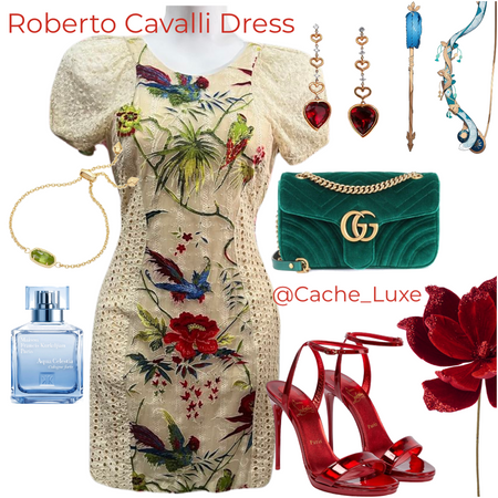 Roberto Cavalli Dress  https://posh.mk/ENyLhYAhXDb