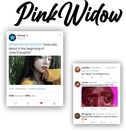 PinkWidow{핑크 위도우}Twitter Update