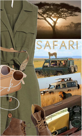 Safari 🐒🐅🦒🐘