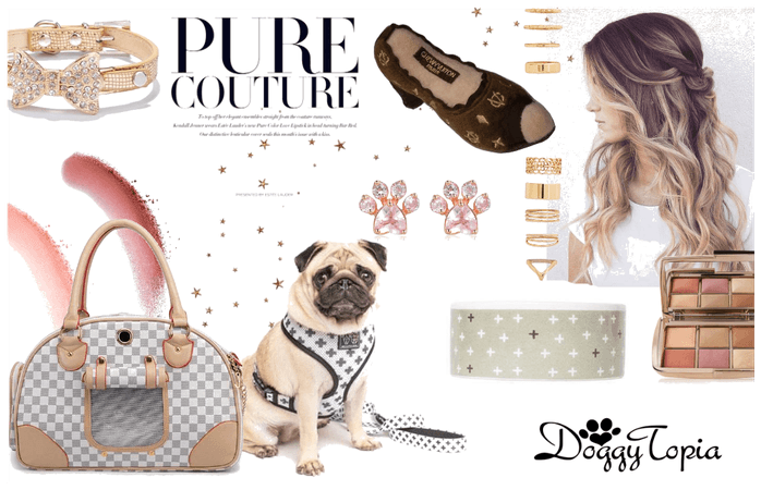 Pooch Couture