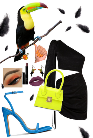 Toucan Outfit