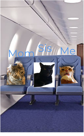 us at the airplane