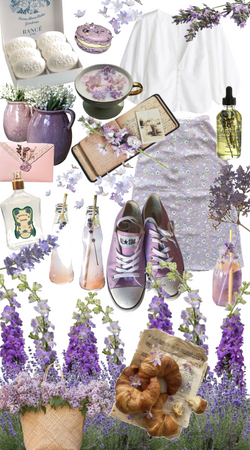 Lavender 🪻