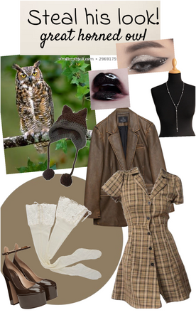 Steal his look - Great Horned Owl