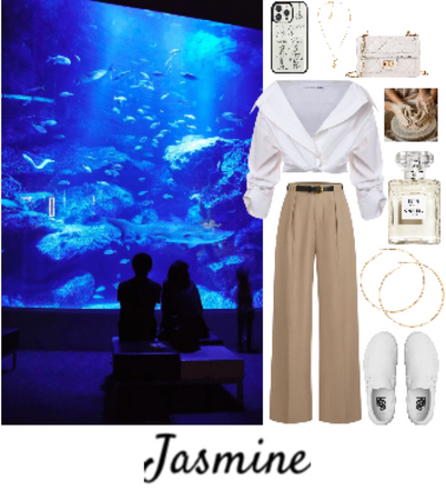 Jasmine- FLA- Chpt.13