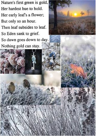 First Frost Moodboard