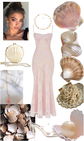 pink seashells
