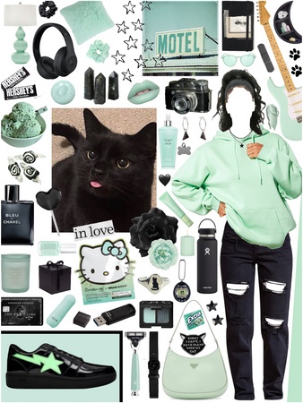 black🐈‍⬛ and mint🍵