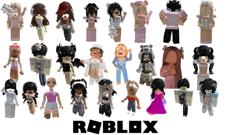 the Roblox community